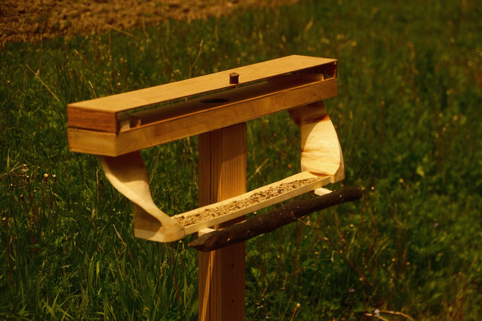 The finished sculpture at a field edge: a long wooden harp box with its lid closed over the strings, an acorn cap on top, carved supports holding a seed-filled tray, and a dark branch perch in front, on a single post.