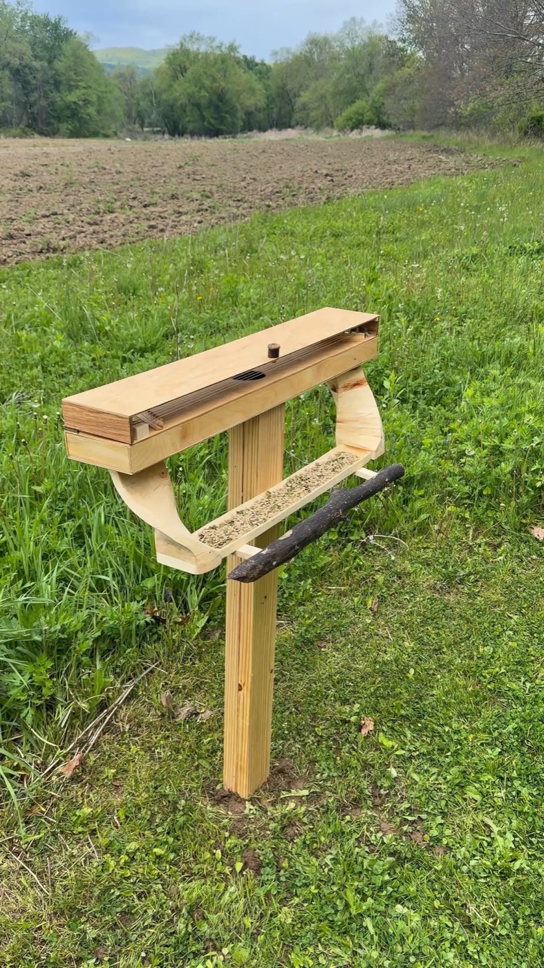 Frame from the field recording: the sculpture on its post in tall grass at the edge of a ploughed field, lid closed, seed in the tray.