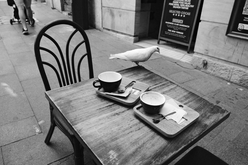 A white pigeon stands at the edge of a wooden café table with two used coffee cups on wooden trays, beside a curved-back chair on the sidewalk, while a person pushes a stroller past in the background.